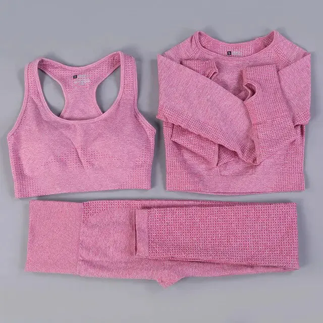 2/3PCS Seamless Women Workout Sportswear