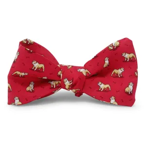 Bulldog Bonanza: Bow Tie - Red