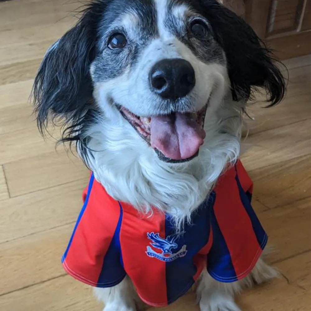 Crystal Palace Personalised Dog Shirt