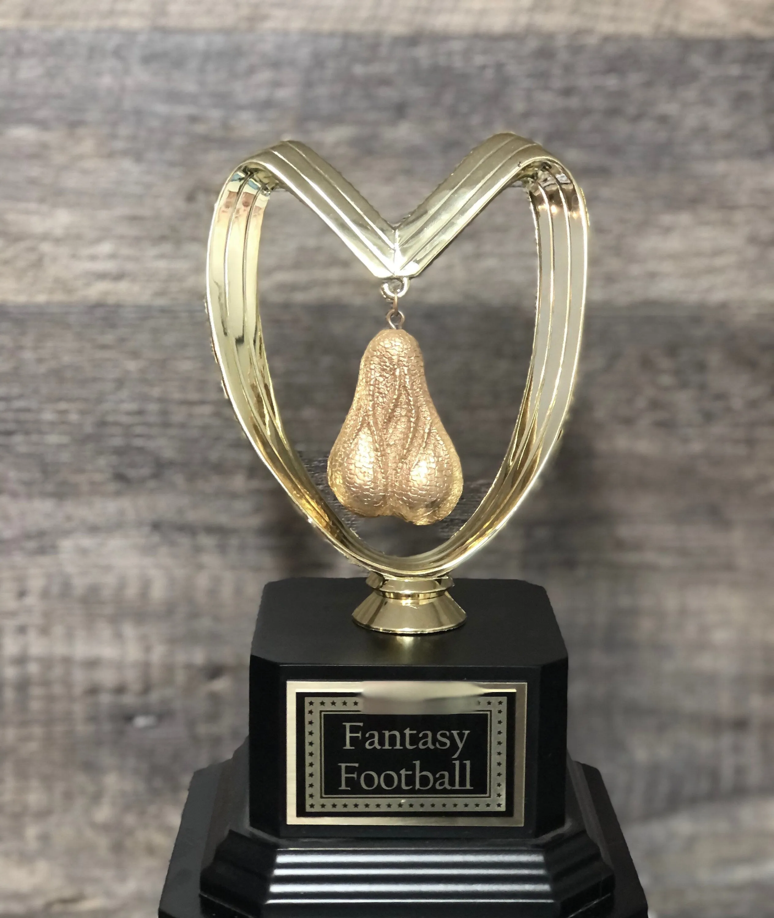 Fantasy Football Trophy Perpetual Last Place GOLDEN Balls You Suck FFL Sacko Trophy You've Got Balls Funny Trophy Adult Humor Testicle