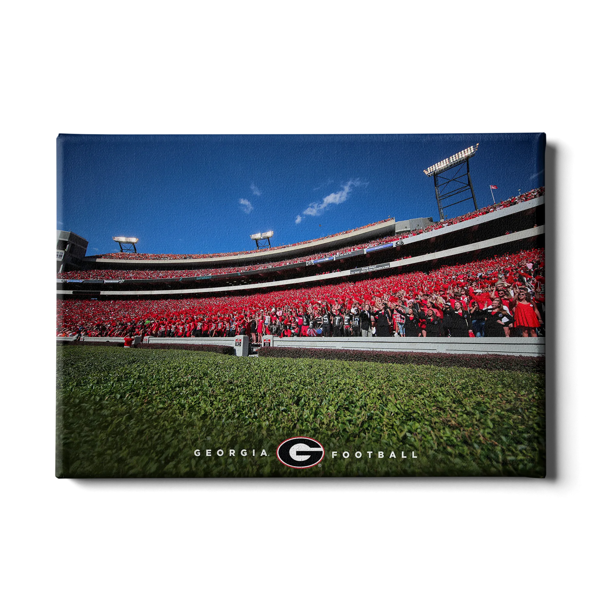 Georgia Bulldogs - Georgia Football