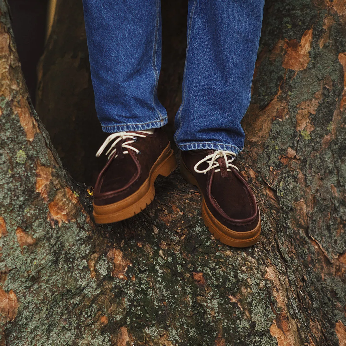 KLEMAN   forét Suede Derby Shoe - Brown