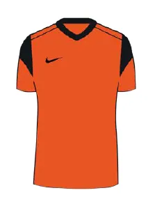 Men's Nike Park Derby 3 Jersey (CW3826-819)