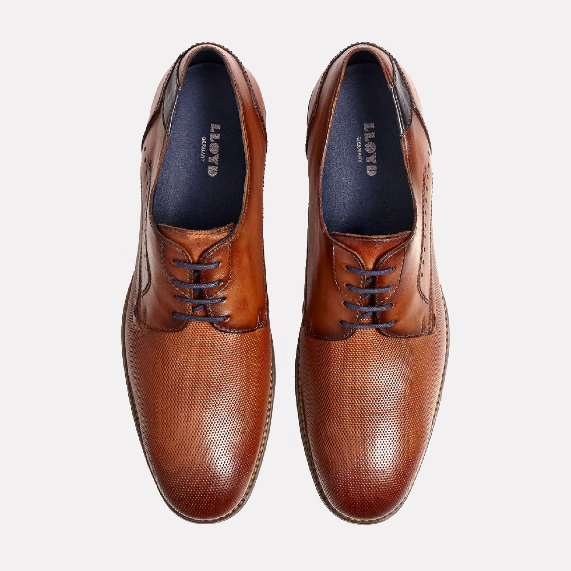 Namir Lace Up Embossed Leather Derby Shoes / Brandy