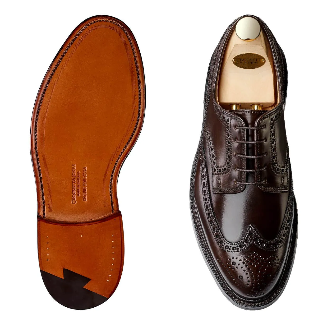 Pembroke Dark Brown Cordovan