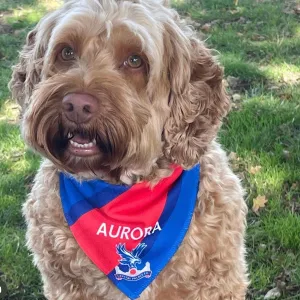 Personalised Crystal Palace Dog Bandana