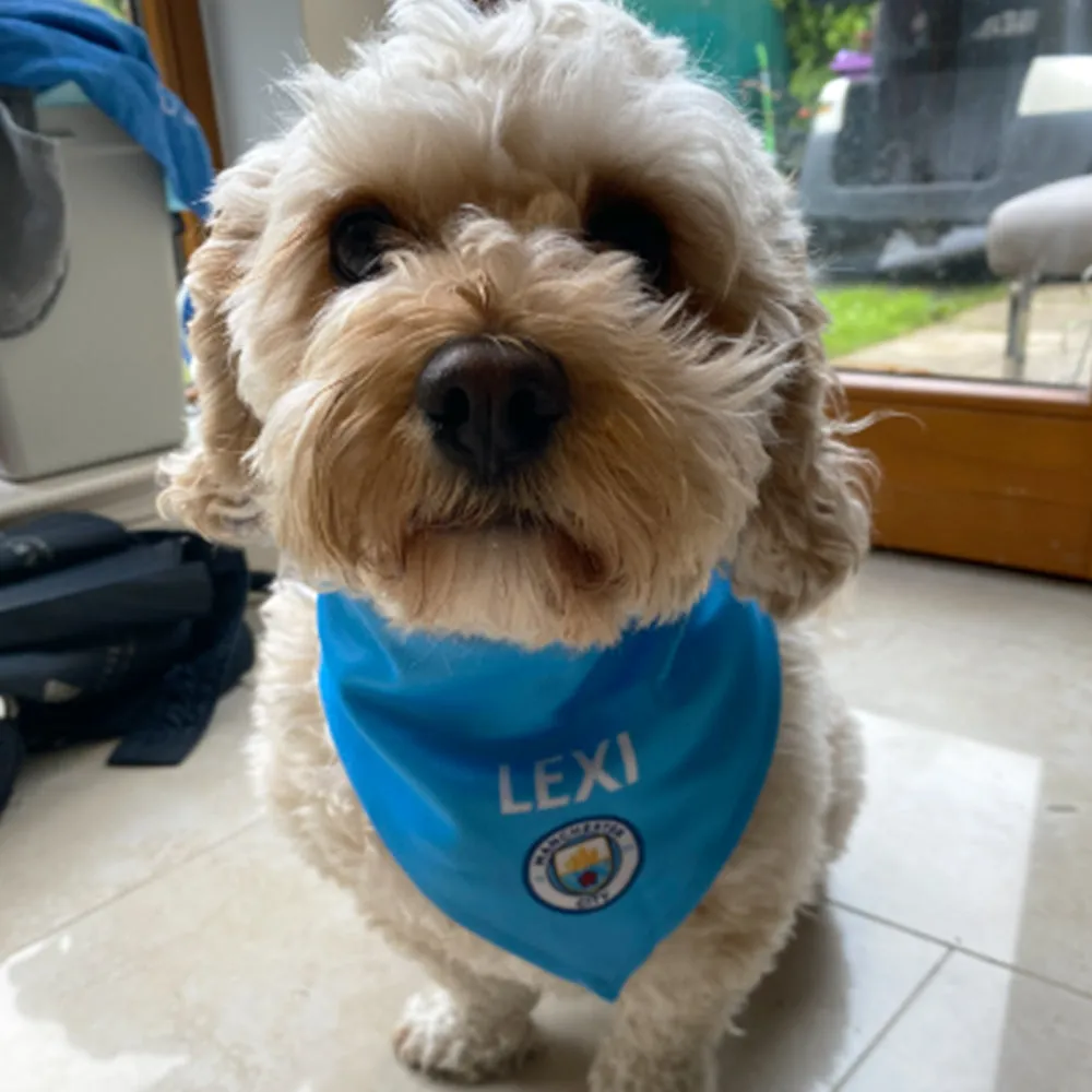 Personalised Man City Dog Bandana