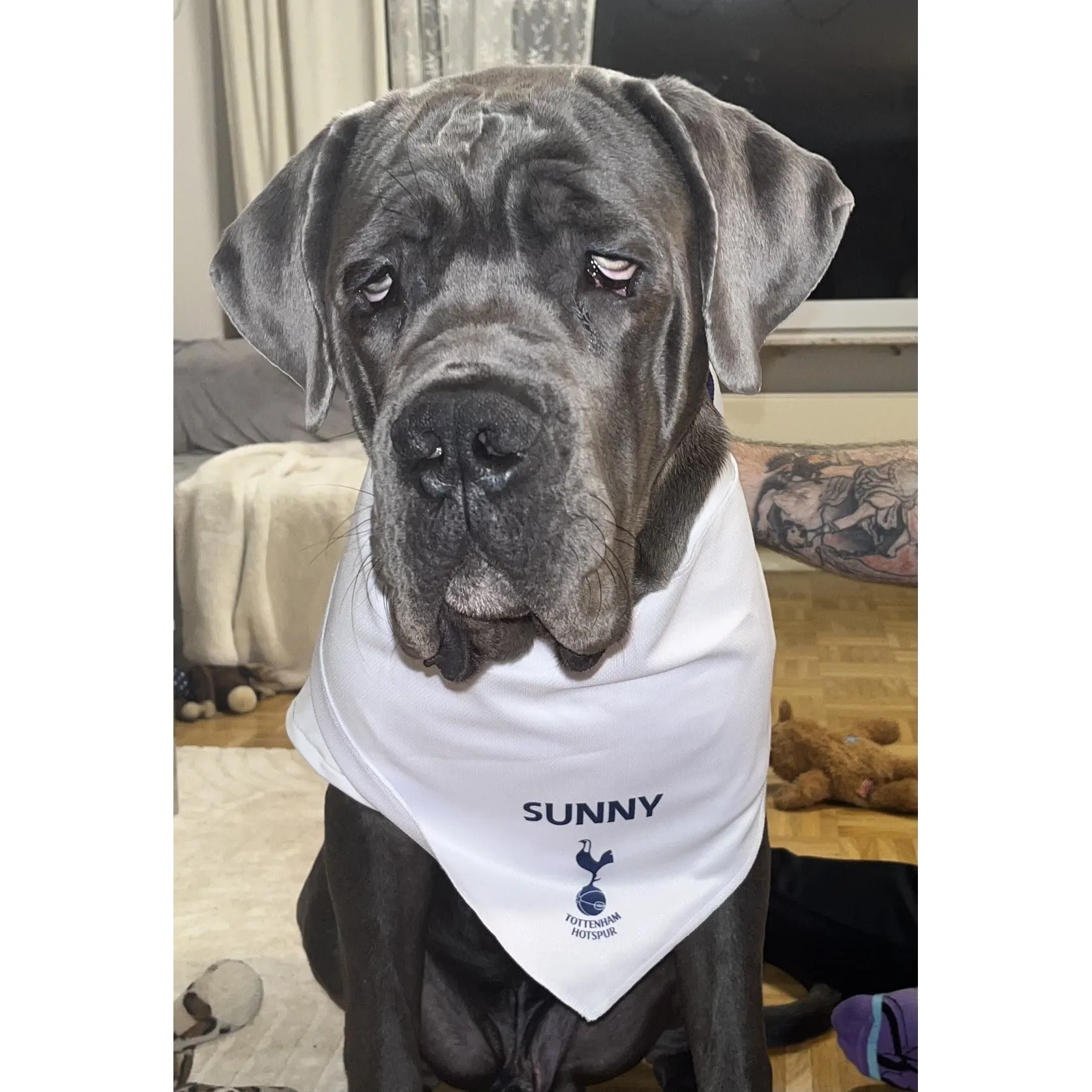 Personalised Spurs Dog Bandana