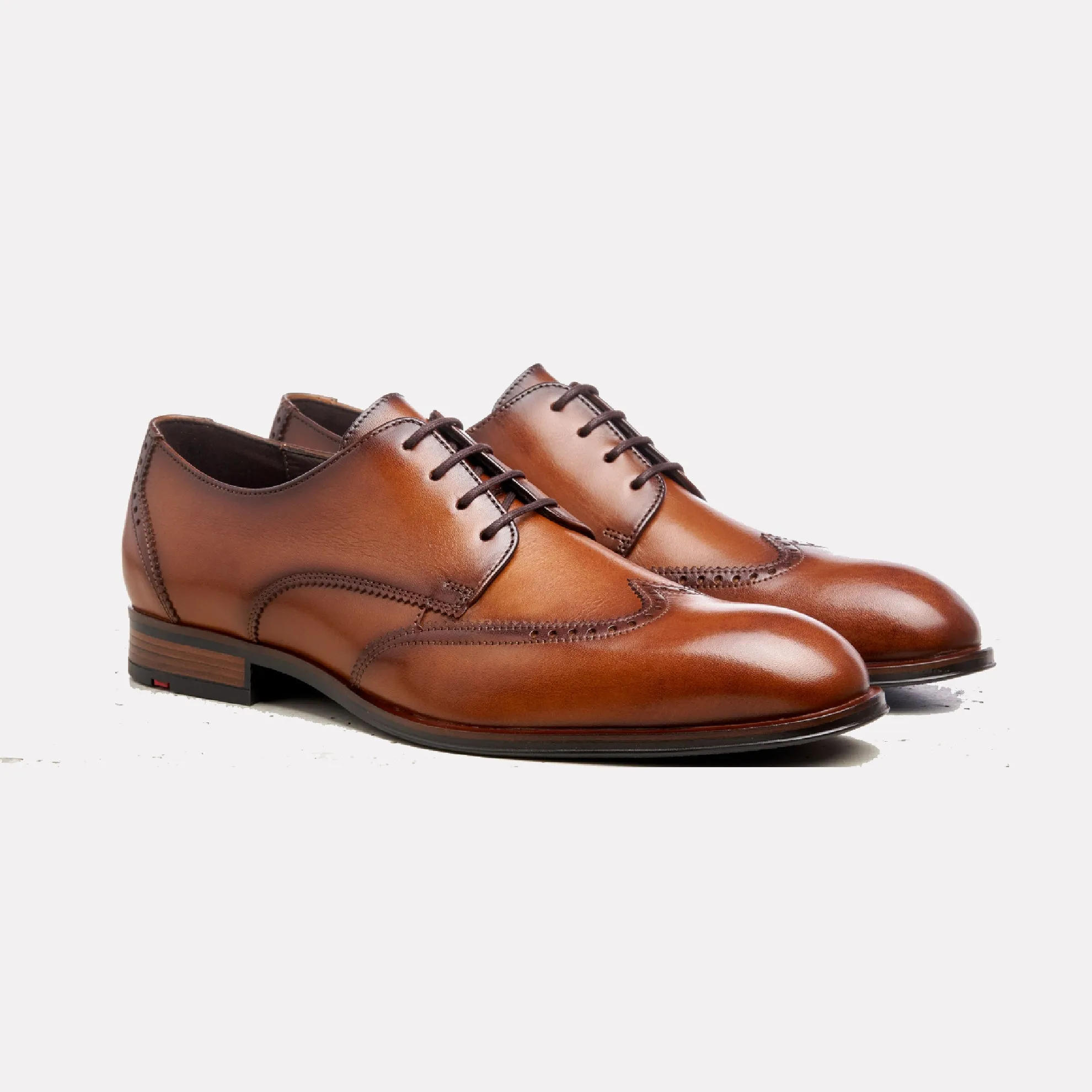 Samson Marocco Calf Lace-up Derby Wingtip / Cognac