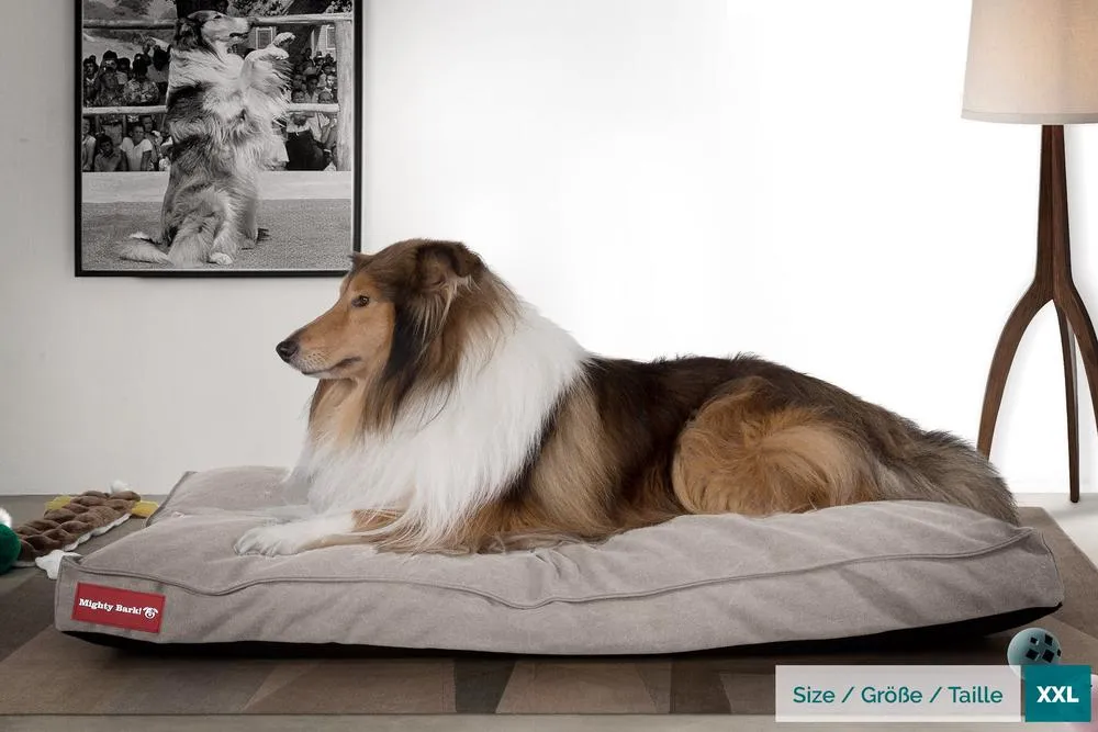 The Mattress Orthopedic Classic Memory Foam Dog Bed - Canvas Pewter