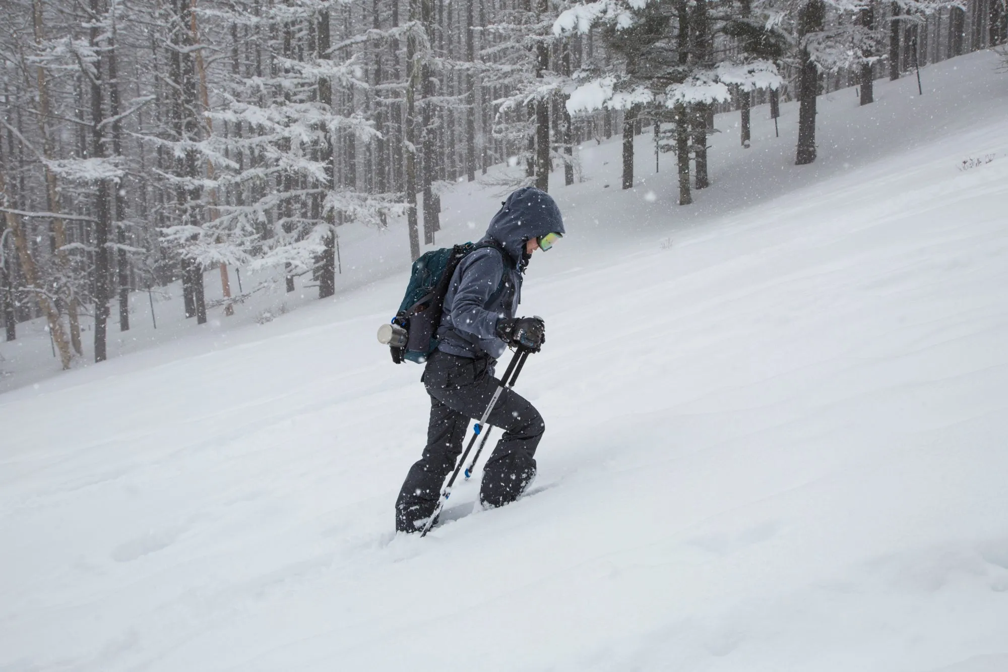 Tubbs Women's Panaramic Snowshoes* In-Store or Pick Up only