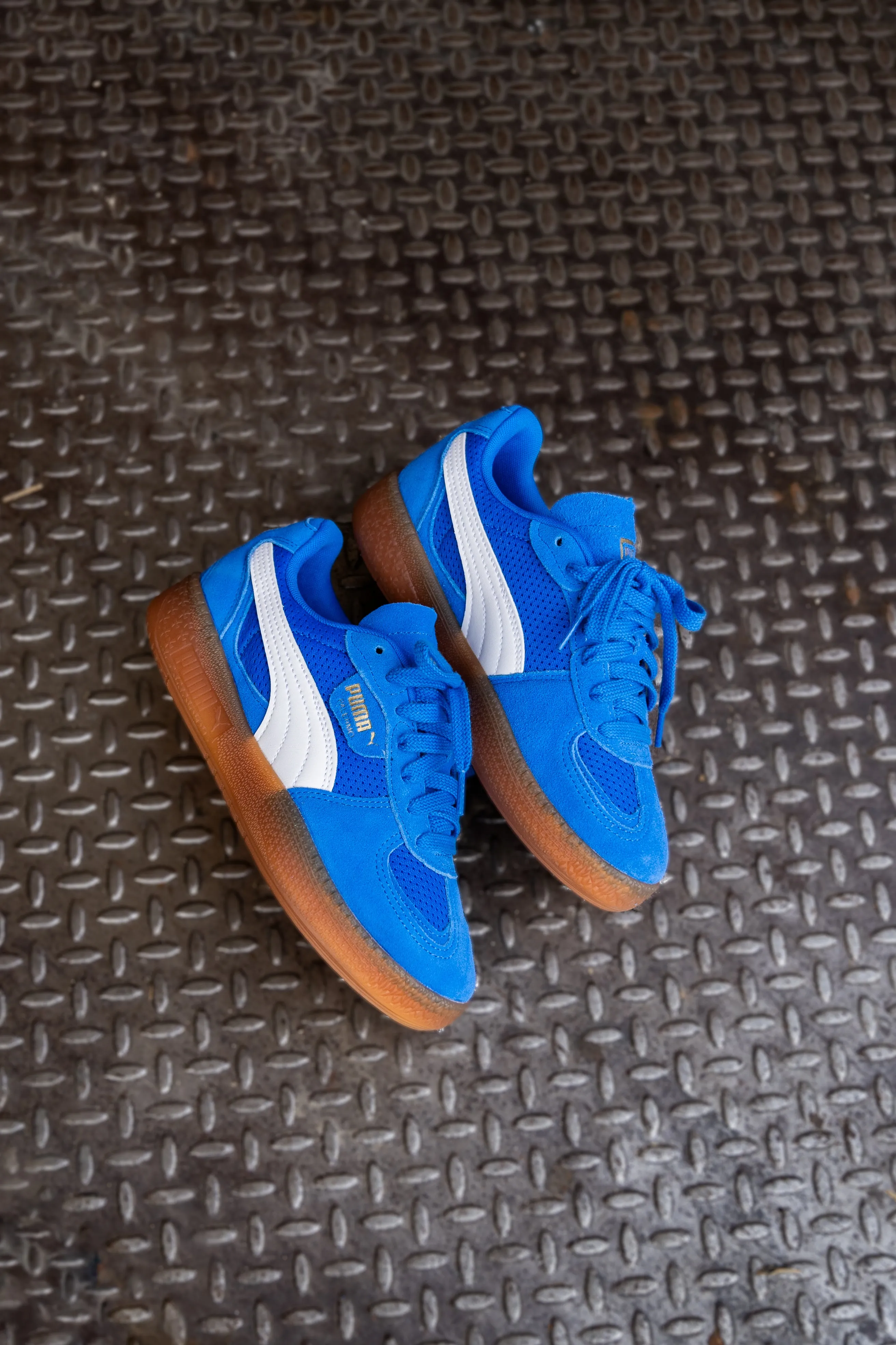 Women's Puma Palermo Moda Vintage (Hyperlink Blue/Gum)